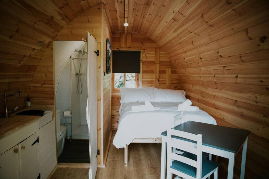 Ash Winter Retreat- Hot Tub & Log Bruner Barmouth Exterior photo
